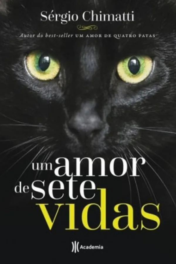 Capa de Um Amor De Sete Vidas