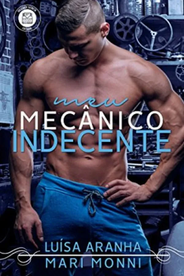 Capa de Meu Mecânico Indecente
