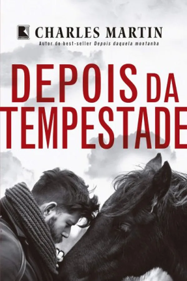Capa de Depois da Tempestade
