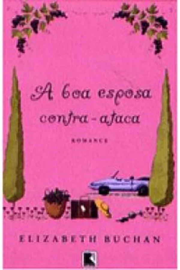 Capa de A boa esposa contra-ataca
