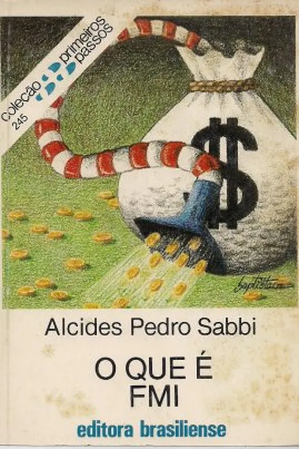Capa de O que é FMI.