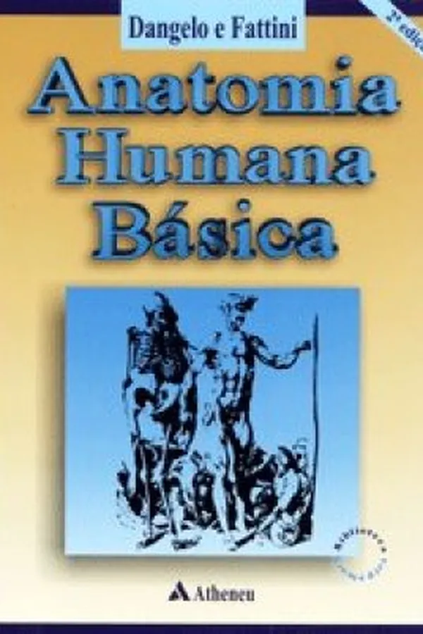 Capa de Anatomia Humana Básica