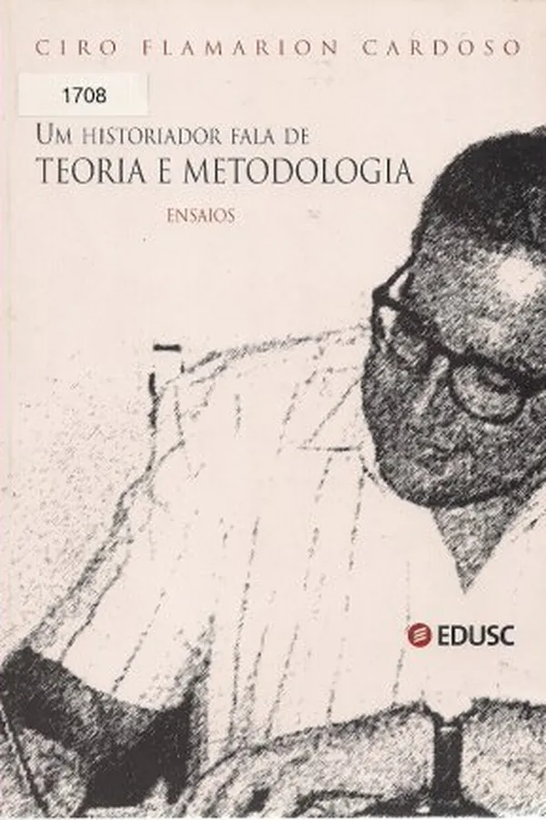 Capa de Um historiador fala de teoria e metodologia