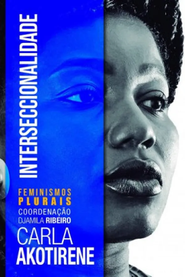 Capa de Interseccionalidade