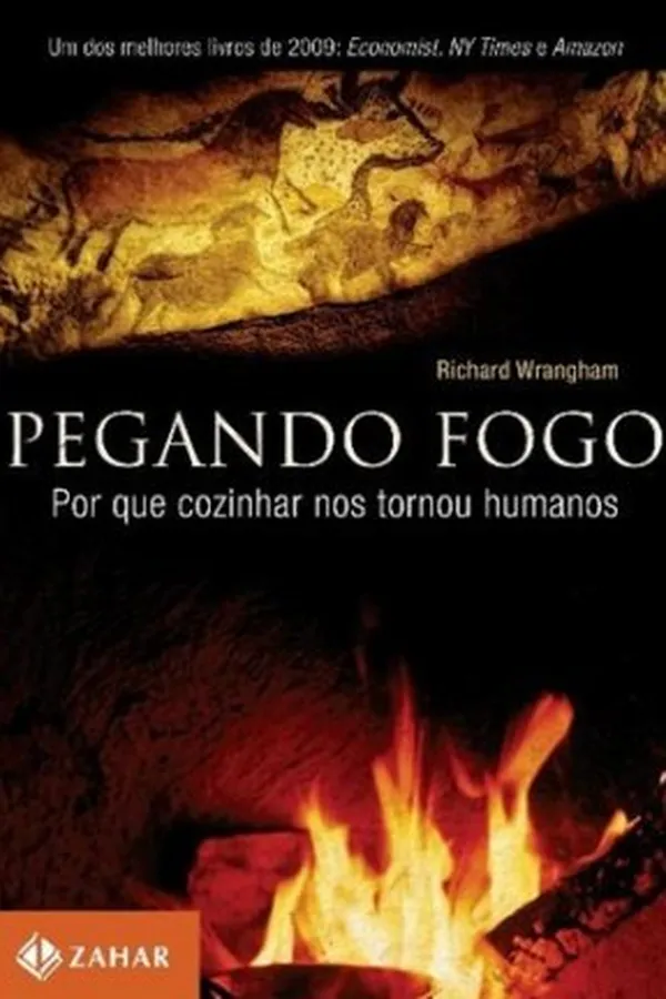 Capa de Pegando fogo