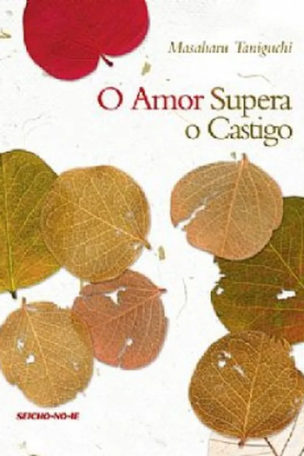 Capa de O amor supera o castigo