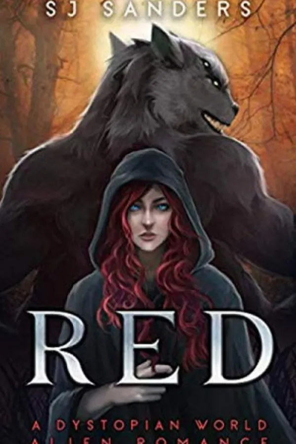 Capa de Red