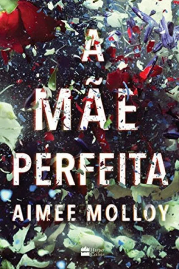 Capa de A Mãe Perfeita