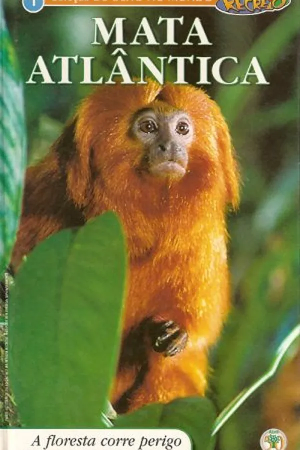 Capa de Mata Atlântica